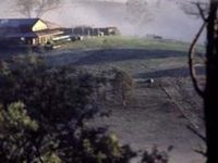 Avalanche Homestead