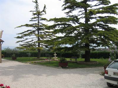 фото отеля B&B Il Cascinale