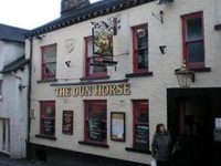 Dun Horse