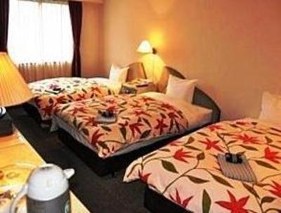 фото отеля Hotel Mizukami