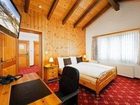 фото отеля Alpina Hotel Grachen