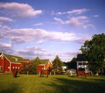 фото отеля Farm by the River Bed and Breakfast with Stables