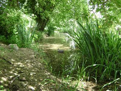 фото отеля La Ferme de l'Isle aux Oiseaux