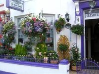 Seashells Guest House Great Yarmouth