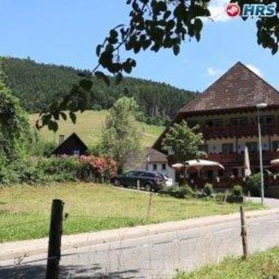 фото отеля Landgasthaus Gruner Baum Simonswald