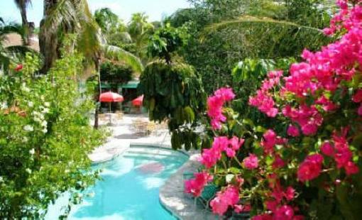 фото отеля Turtle Cove Inn