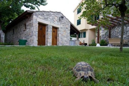 фото отеля Villa Fortuna Mostar