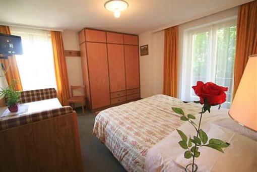 фото отеля Hotel Monzoni Pozza Di Fassa
