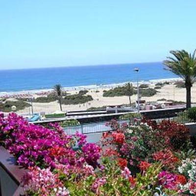 фото отеля Don Palomon Apartamentos Gran Canaria