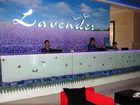 фото отеля Lavender Hotel Hua Nan City Branch
