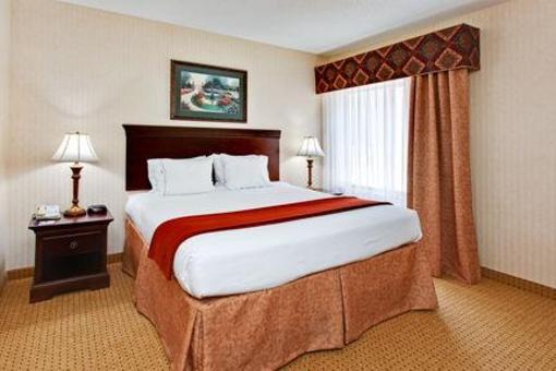 фото отеля Holiday Inn Express Hotel & Suites Kingsport-Meadowview I-26