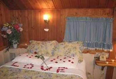 фото отеля Castle Wood Theme Cottages