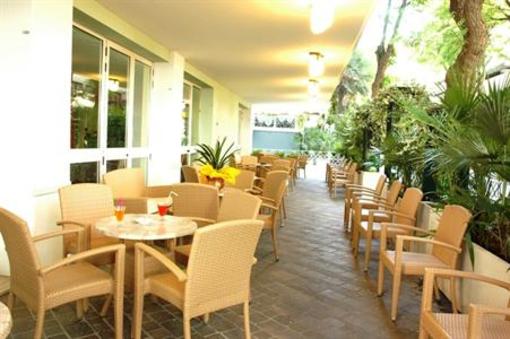 фото отеля Hotel Plaza Rimini
