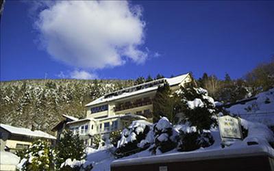 фото отеля Hotel Rothfuss