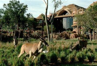 фото отеля Disney's Animal Kingdom Lodge