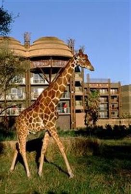 фото отеля Disney's Animal Kingdom Lodge