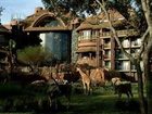 фото отеля Disney's Animal Kingdom Lodge