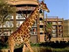 фото отеля Disney's Animal Kingdom Lodge