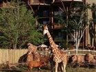 фото отеля Disney's Animal Kingdom Lodge