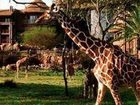 фото отеля Disney's Animal Kingdom Lodge