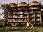 фото отеля Disney's Animal Kingdom Lodge