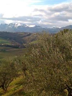 фото отеля Agriturismo Colle Regnano