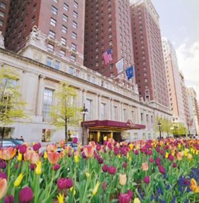 фото отеля Hilton Chicago