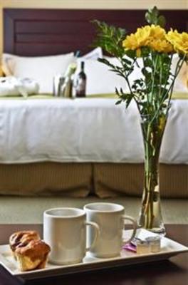 фото отеля Radisson Suite Hotel Toronto Airport