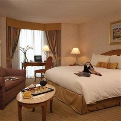 фото отеля Hilton Hotel Rosemont