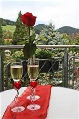 фото отеля Waldblick Hotel Schenkenzell