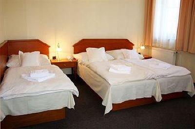 фото отеля Casanova Hotel Duchcov