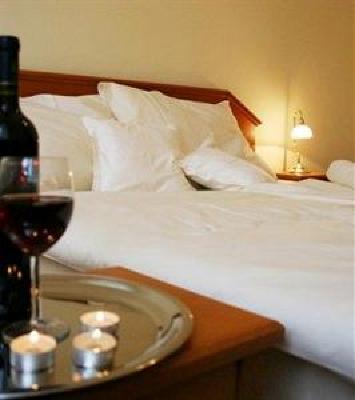 фото отеля Casanova Hotel Duchcov