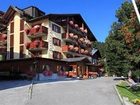 фото отеля Alpina Hotel Pinzolo