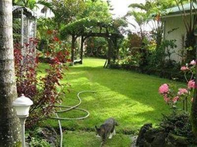 фото отеля Malia's Birdsong B&B