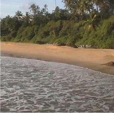 фото отеля Kannur Beach House