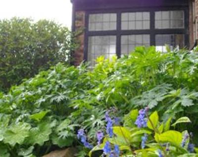фото отеля Manor Farm Bed and Breakfast Bridgwater