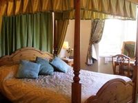 The Elms Guest House