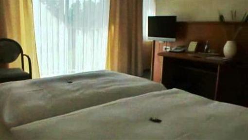 фото отеля Hotel Restaurant Zur Grünen Laube Stollberg