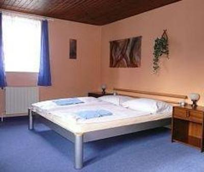 фото отеля Hotel u Hradu