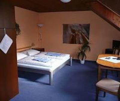 фото отеля Hotel u Hradu