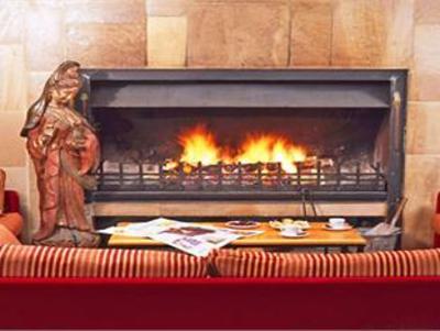 фото отеля Holiday Inn Resort Rouilly-Sacey
