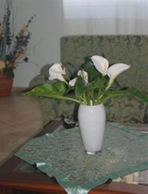 фото отеля Hotel Citti