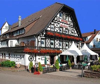 фото отеля Baren Country Hotel
