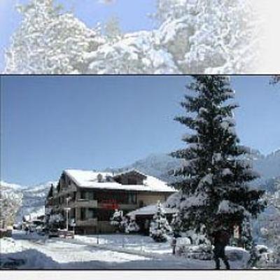 фото отеля Hotel Crystal Adelboden