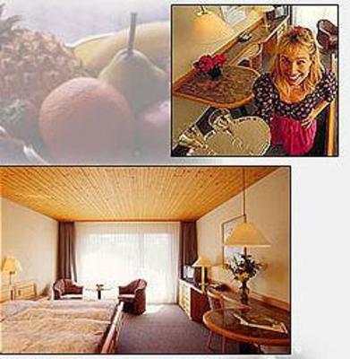 фото отеля Hotel Crystal Adelboden