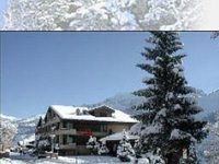 Hotel Crystal Adelboden