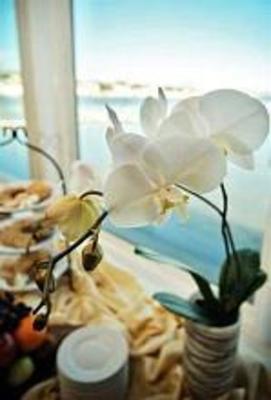 фото отеля Oyster Point Hotel