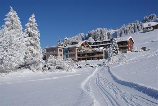 фото отеля Hotel Alpina Adelboden
