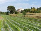 фото отеля Il Caminetto Hotel Portoferraio