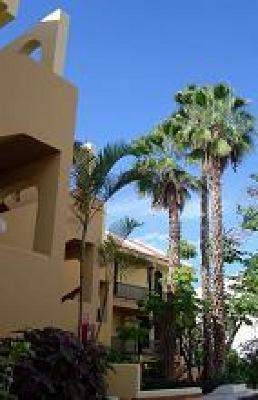 фото отеля Apartments Playaolid Tenerife